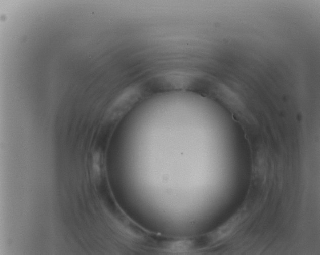 X0000062920122200601202011