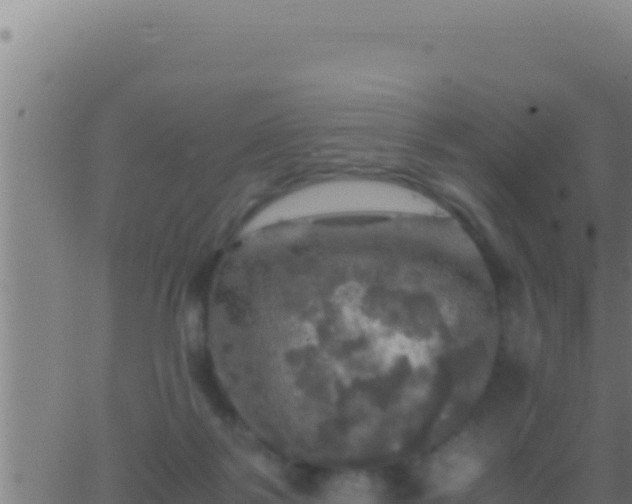 X0000062920123200601202011