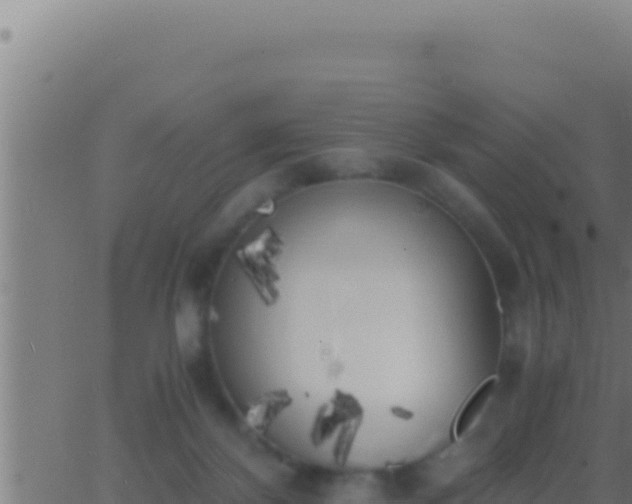 X0000062920124200601202011