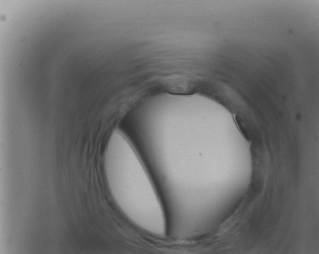 X0000062920125200601202011