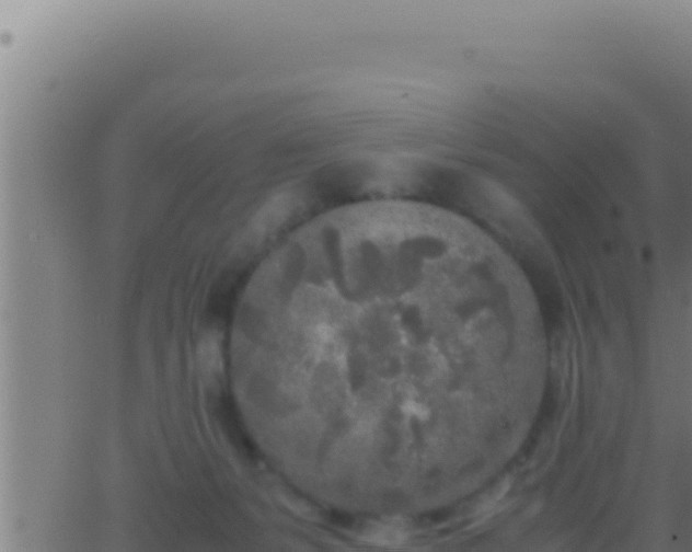 X0000062920127200601202011