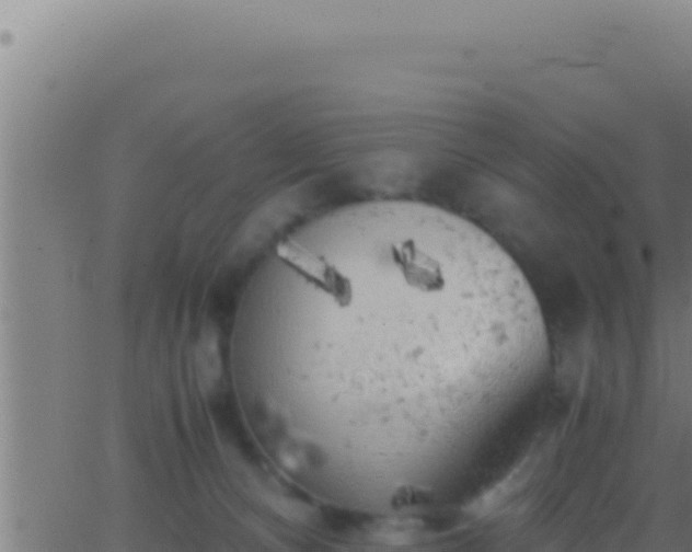 X0000062920128200601202011