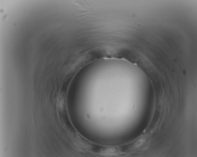 X0000062920129200601202011