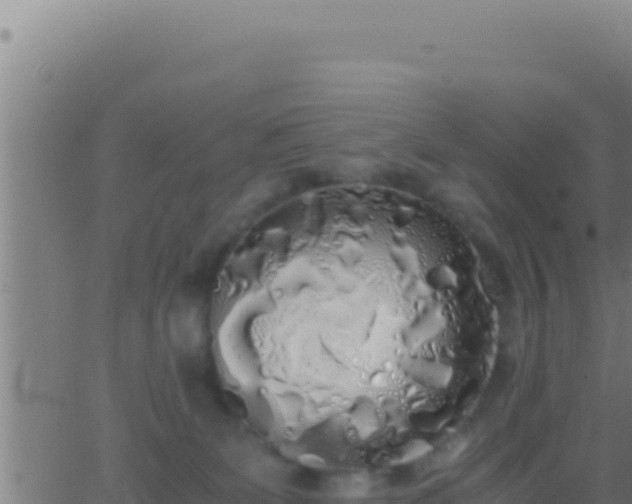 X0000062920131200601202011