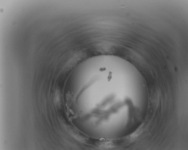 X0000062920132200601202011