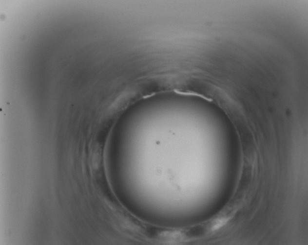 X0000062920133200601202011