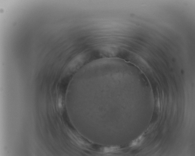 X0000062920134200601202011