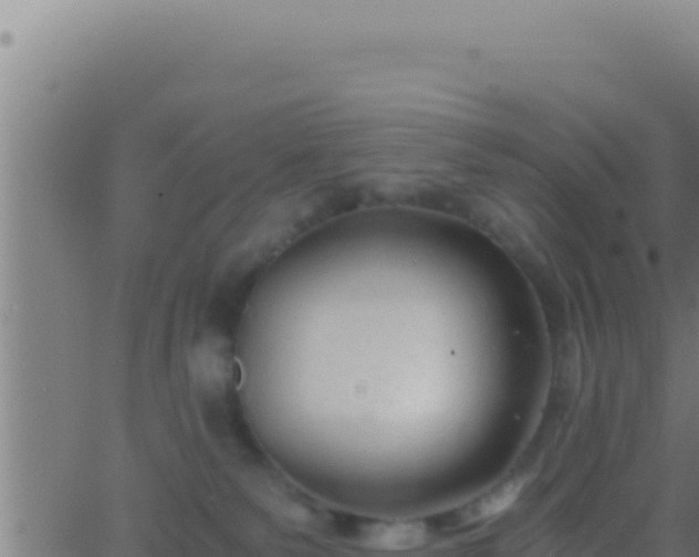 X0000062920135200601202011