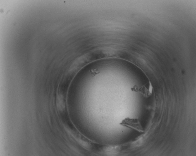 X0000062920136200601202011