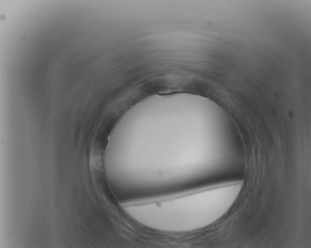 X0000062920137200601202011