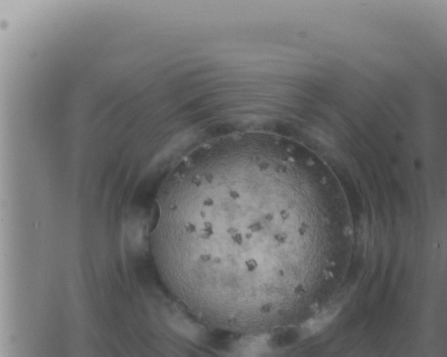 X0000062920138200601202011