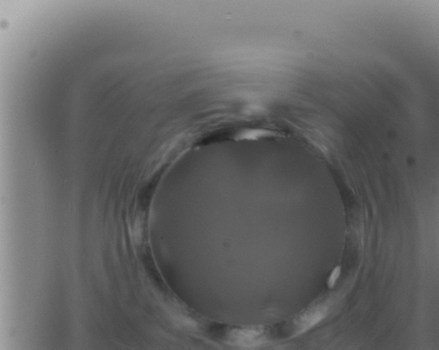 X0000062920139200601202011