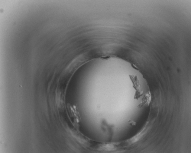 X0000062920140200601202011