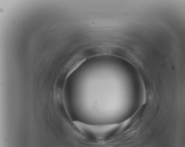 X0000062920141200601202011