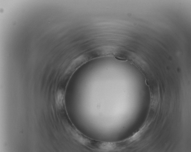 X0000062920142200601202011