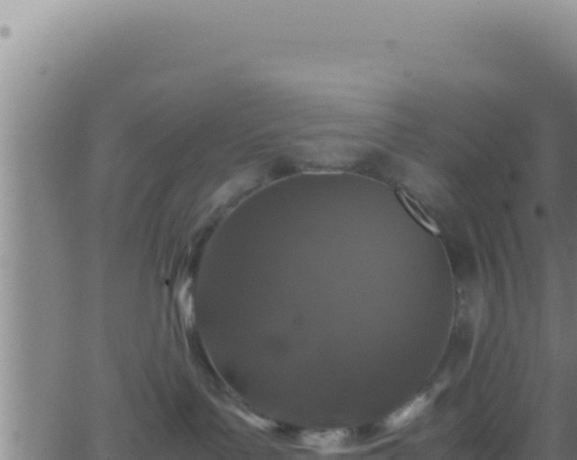 X0000062920143200601202011