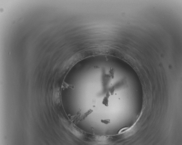 X0000062920144200601202011