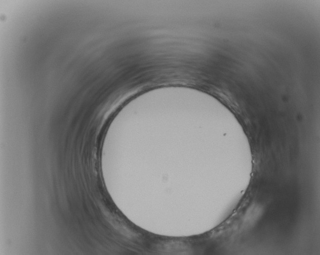 X0000062920146200601202010