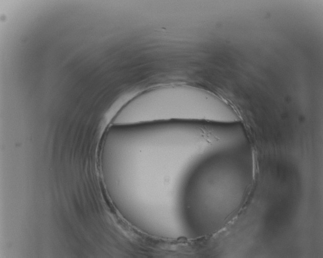 X0000062920147200601202010