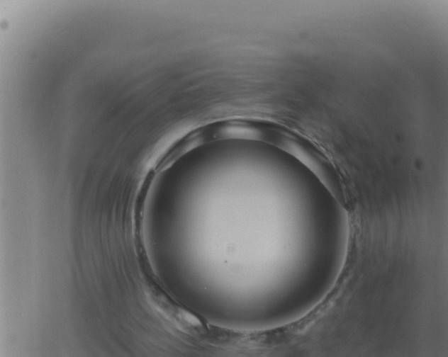 X0000062920148200601202010