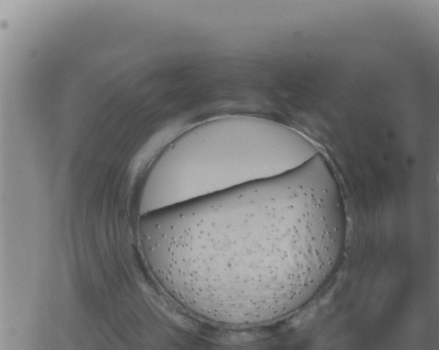 X0000062920149200601202010