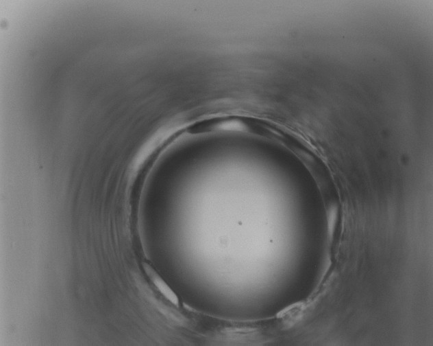 X0000062920150200601202010