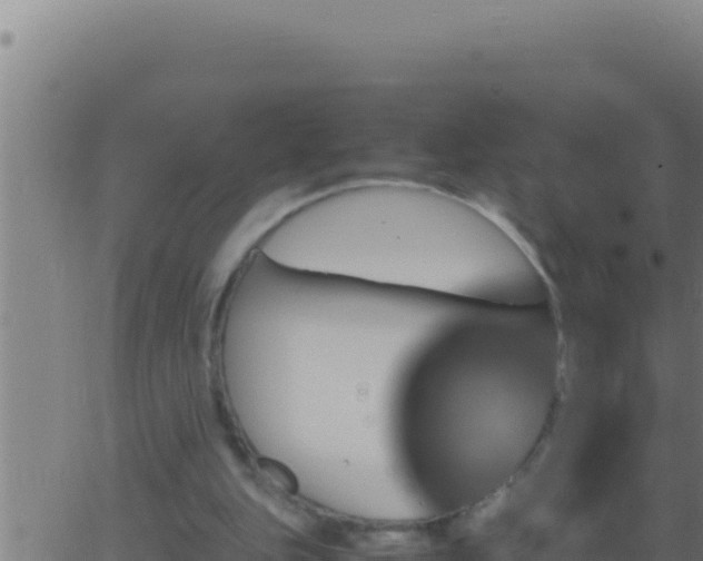 X0000062920151200601202010