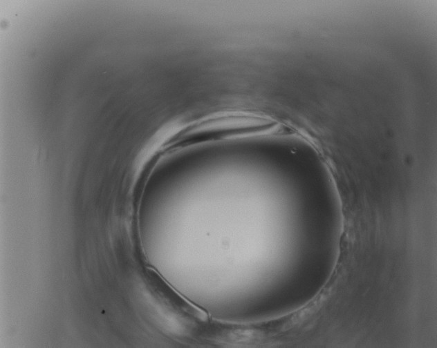 X0000062920152200601202010