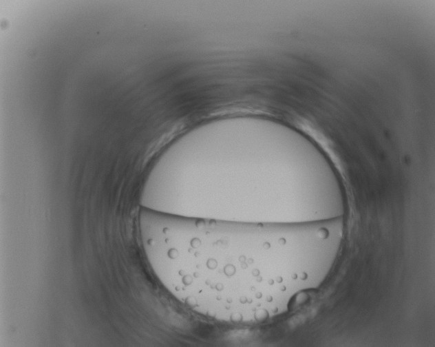 X0000062920153200601202010