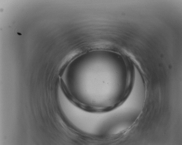 X0000062920154200601202010