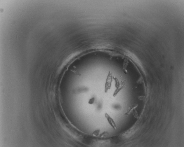 X0000062920155200601202010