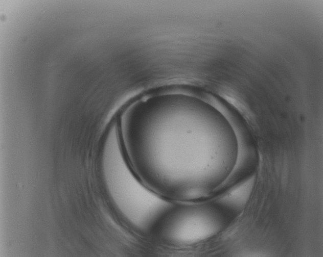 X0000062920156200601202010