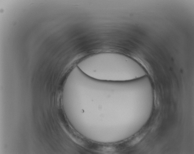 X0000062920157200601202010