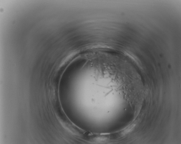 X0000062920158200601202010