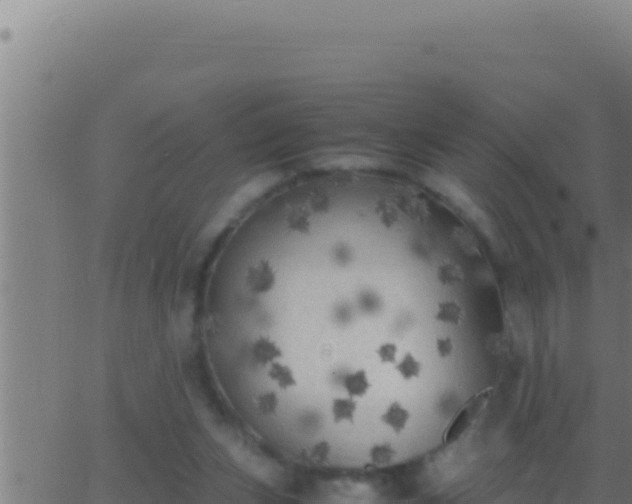 X0000062920159200601202010