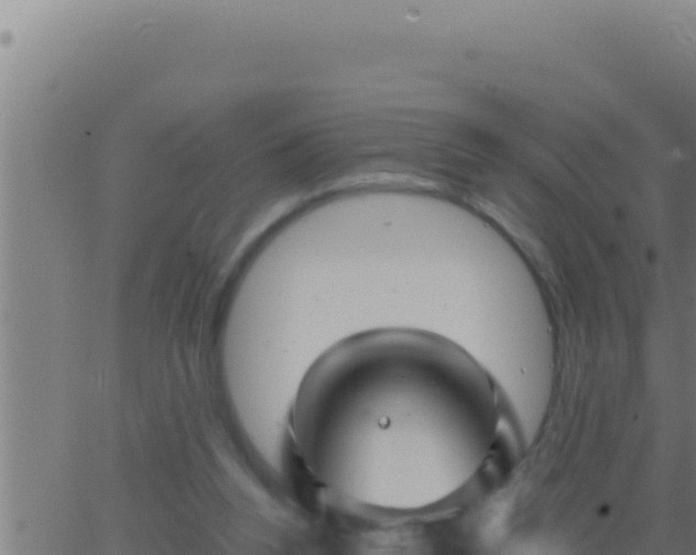 X0000062920160200601202010