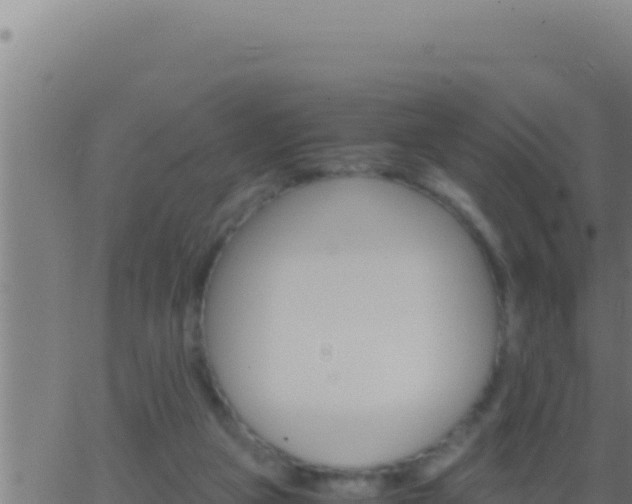 X0000062920161200601202010