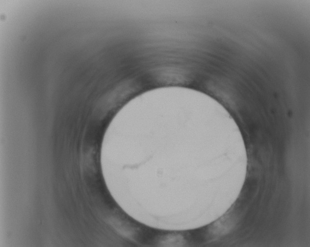 X0000062920162200601202010