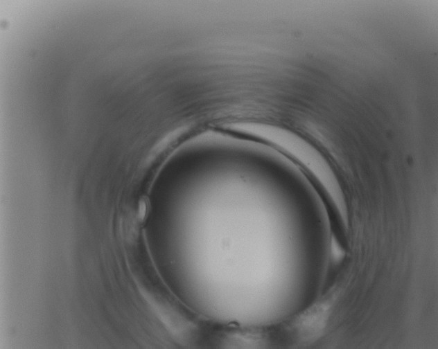 X0000062920164200601202010