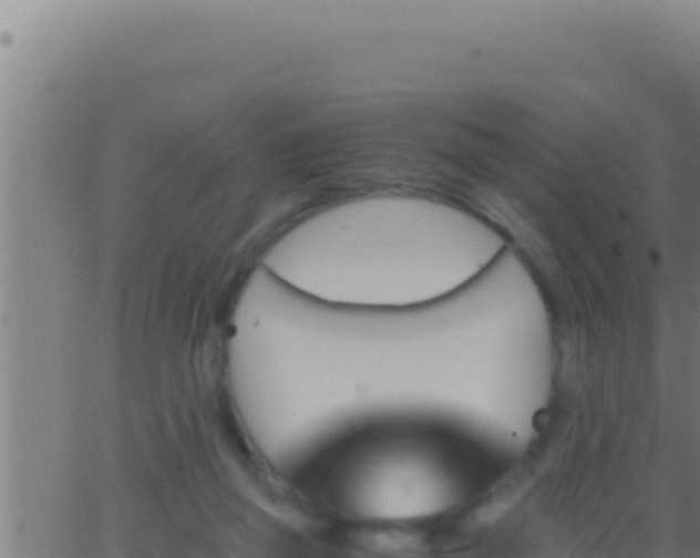 X0000062920165200601202010