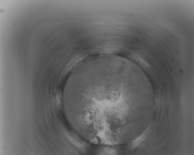 X0000062920166200601202010