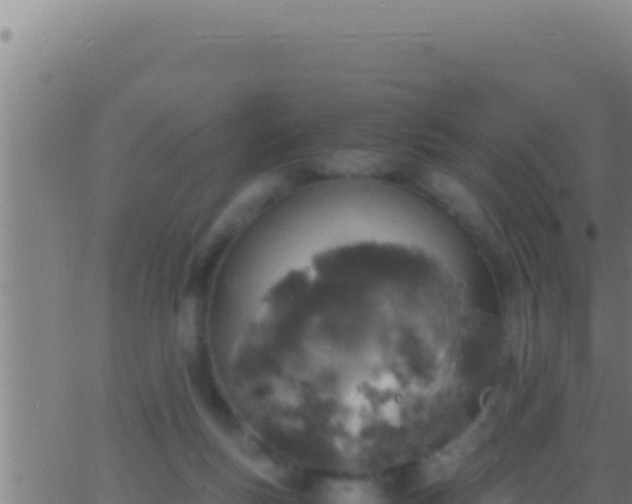 X0000062920167200601202010