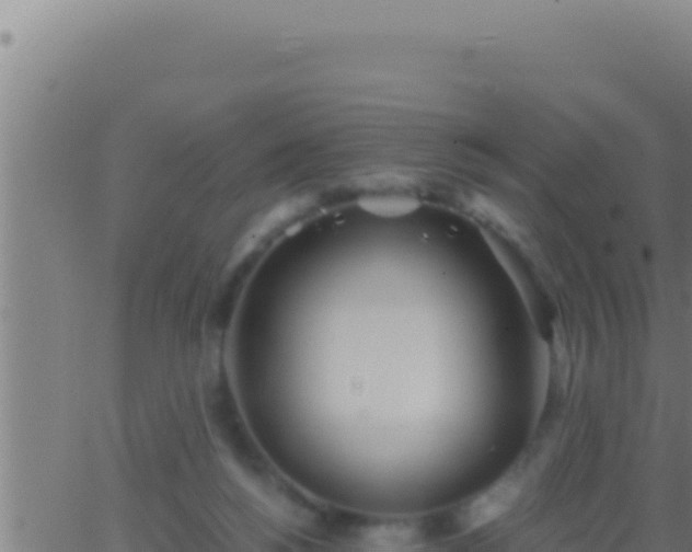 X0000062920168200601202010