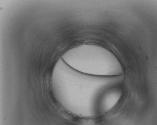 X0000062920169200601202010