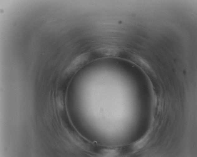 X0000062920170200601202010