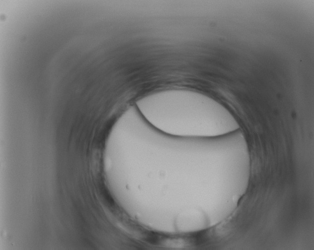 X0000062920171200601202010