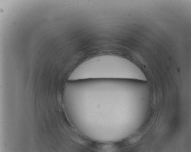 X0000062920173200601202010