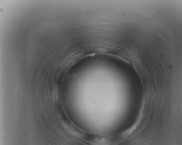 X0000062920174200601202011