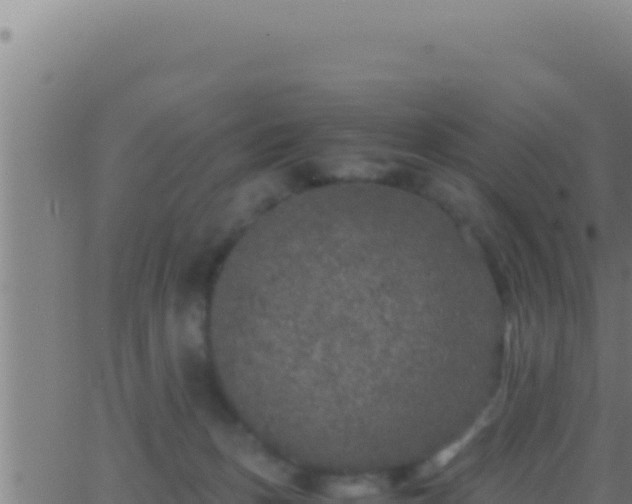 X0000062920175200601202011