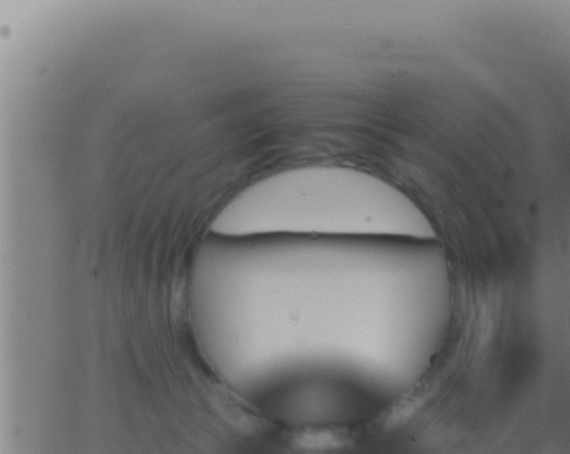 X0000062920177200601202011